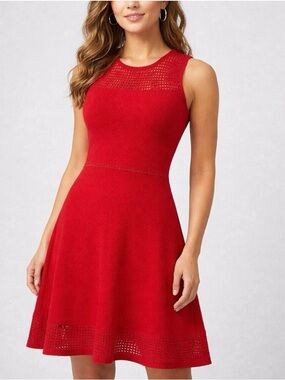 Dynamite Sleeveless Red Knit Fit & Flare knee Lenght dress